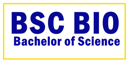 BSC